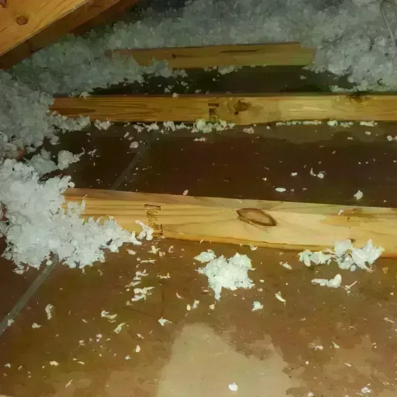 Attic Water Damage in Middletown, DE