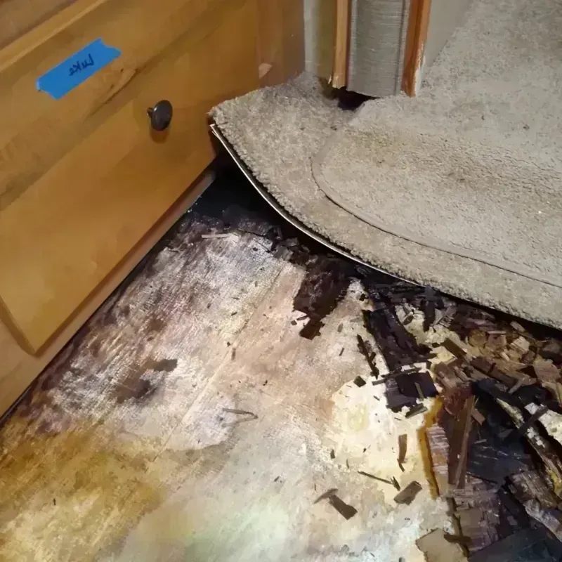 Best Wood Floor Water Damage Service in Middletown, DE